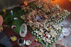 WhatsApp-Image-2026-02-10-at-4.30.24-PM-1-Copy